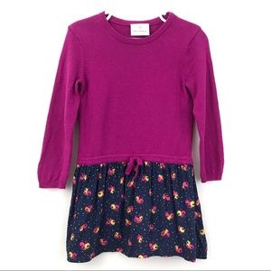 🎈Hanna Andersson Sweater Dress